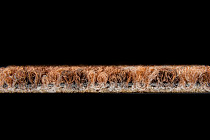 Desso Grezzo Vivid ad 05 2091 B8 фото 4 | FLOORDEALER